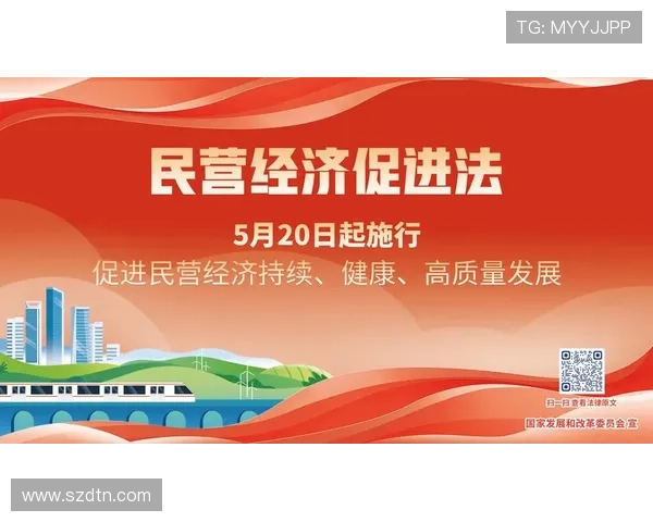 以党员企业家引领新时代民营经济高质量发展路径探索实践策略研究